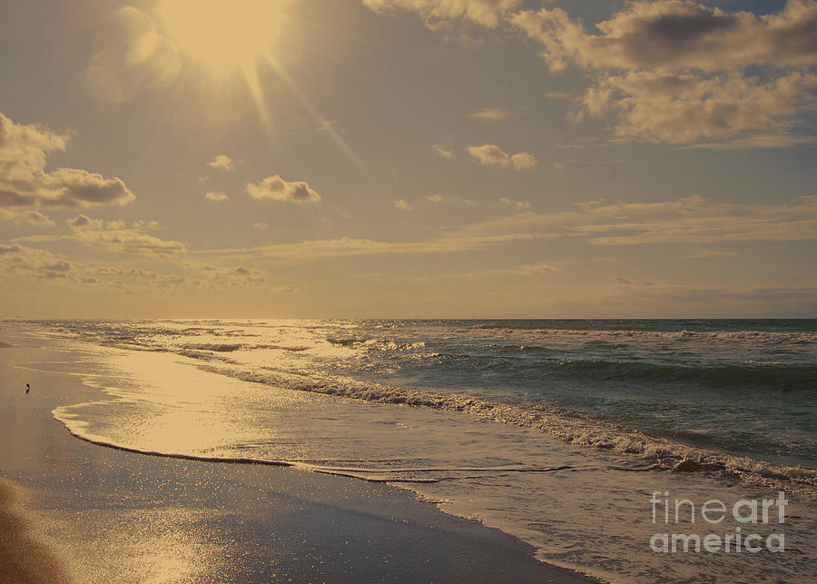 Summer Photograph - Sunny at Emerald Isle N C by Mim White