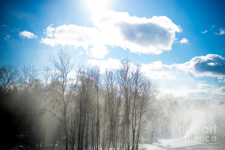 Nature Photograph - Sunny Winter Day by Anna Serebryanik