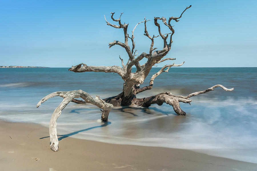 Sunny Day at Driftwood Beach Photograph by Andrew Wilson - Fine Art America