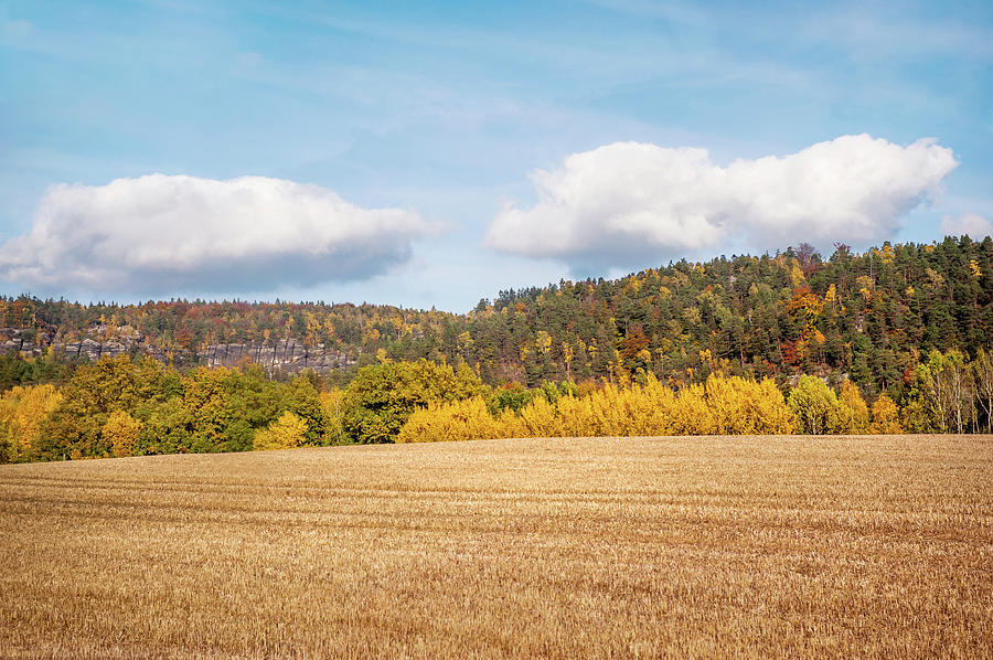 Sunny Day in Autumn Fields Photograph by Jenny Rainbow