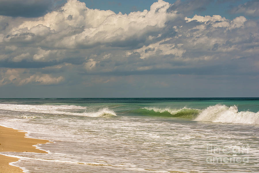 Sunny day on Florida beach Photograph by Zina Stromberg - Fine Art America