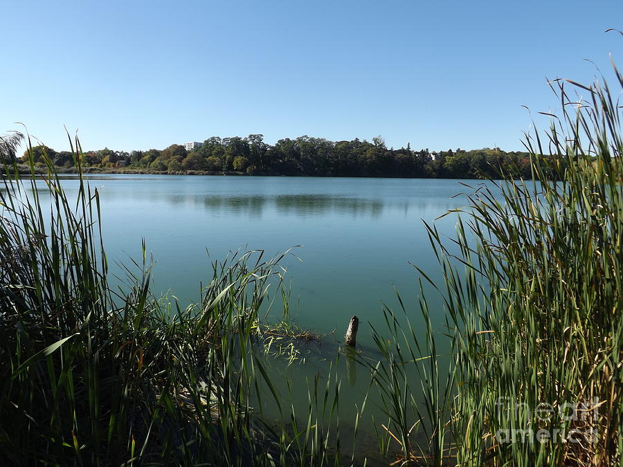 Sunny Fall Afternoon in Grenadier Pond High Park Photograph by Lingfai Leung