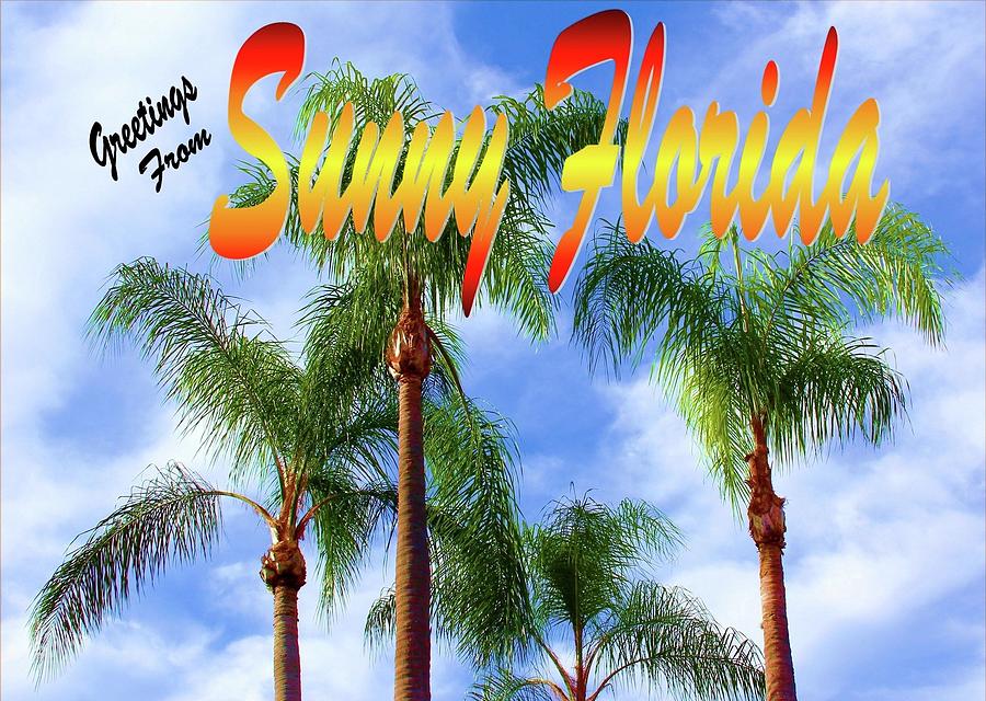Sunny Florida Postcard Photograph by Robert Wilder Jr