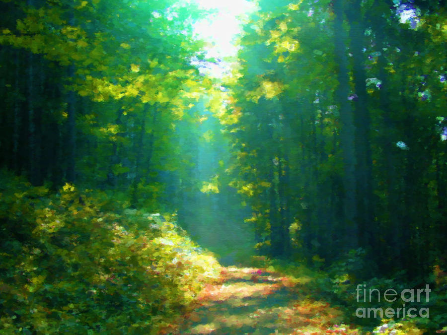 Sunny forest path Mixed Media by Miroslav Nemecek