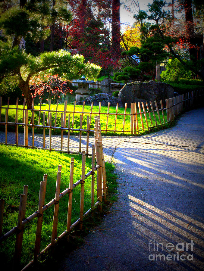 Sunny Garden Path Photograph by Carol Groenen