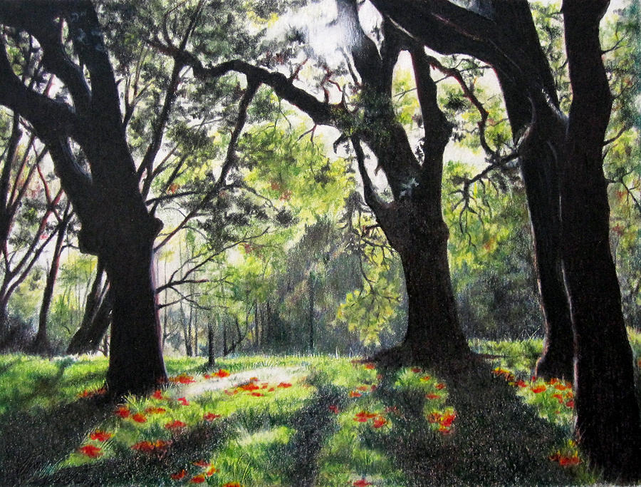 Sunny Glade Drawing by Tess Lee Miller