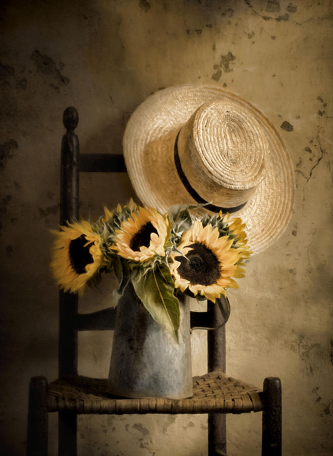 Sunny Inside Photograph by Robin-Lee Vieira
