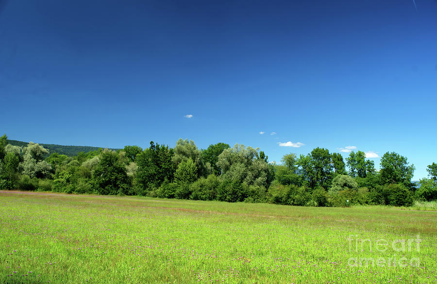 Sunny Landscape Photograph by Michelle Meenawong