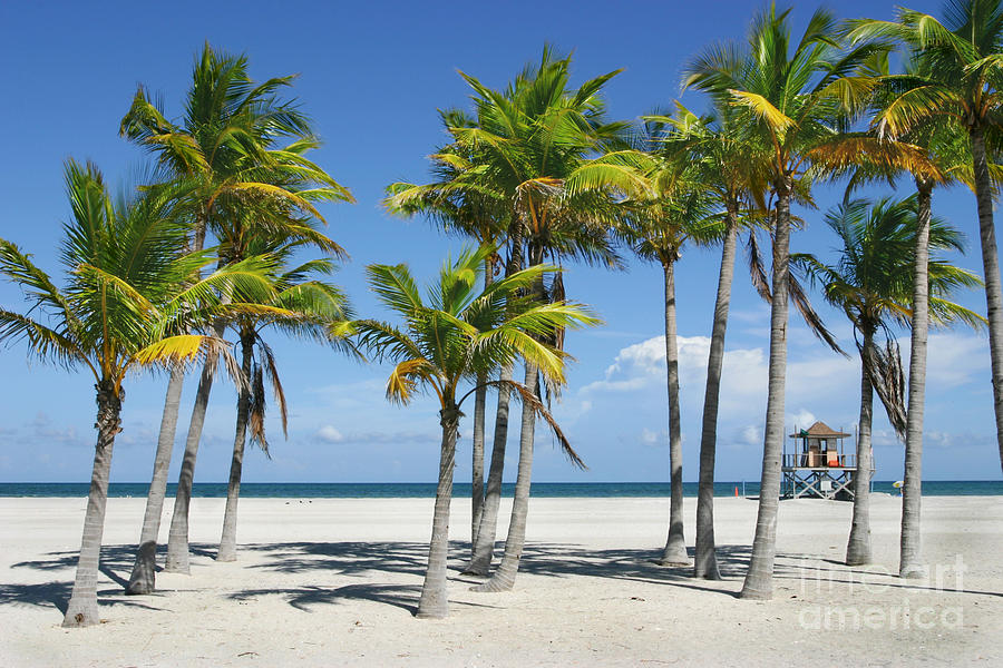 Sunny Miami Beach Photograph by Matt Tilghman