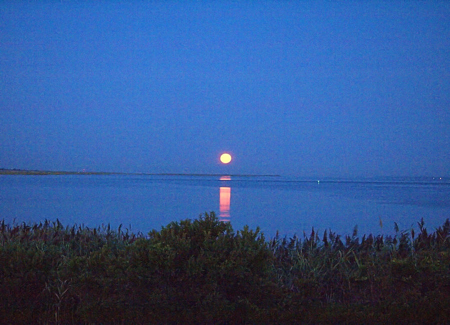 Sunny Moonset Photograph by  Newwwman