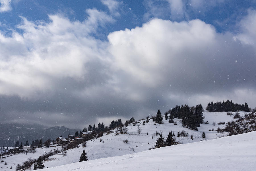 Sunny Snowstorm - a Mountain View to Remember Photograph by Georgia Mizuleva