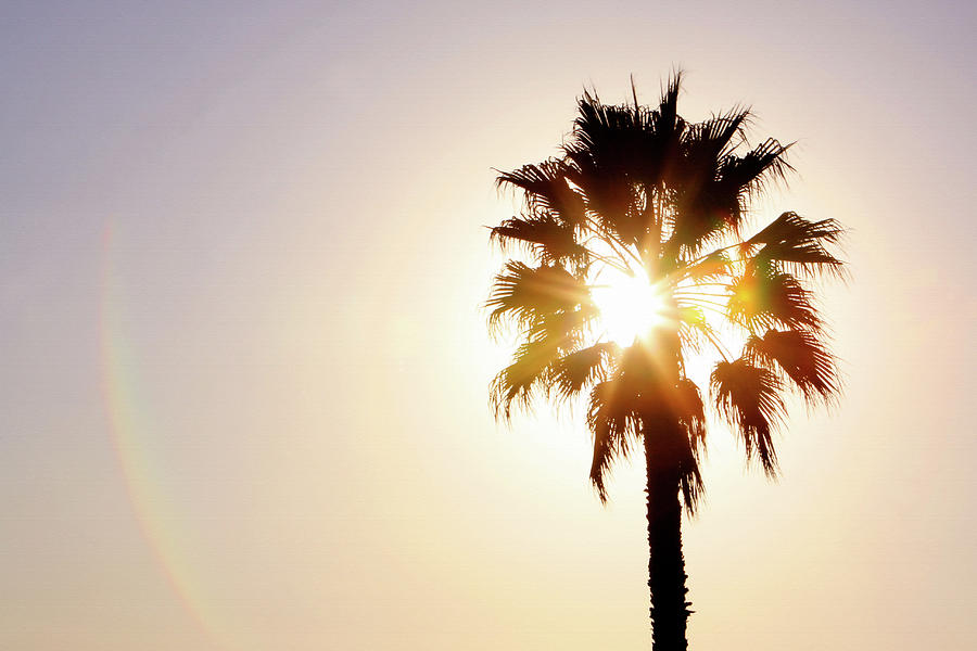 Sunny Southern California Photograph by Art Block Collections