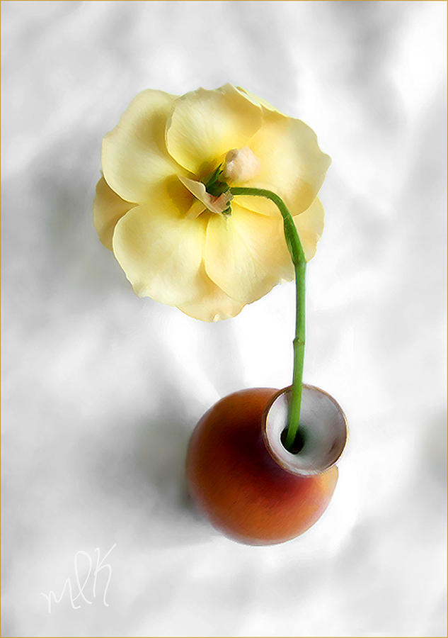 Sunny Yellow Rose Photograph by Louise Kumpf