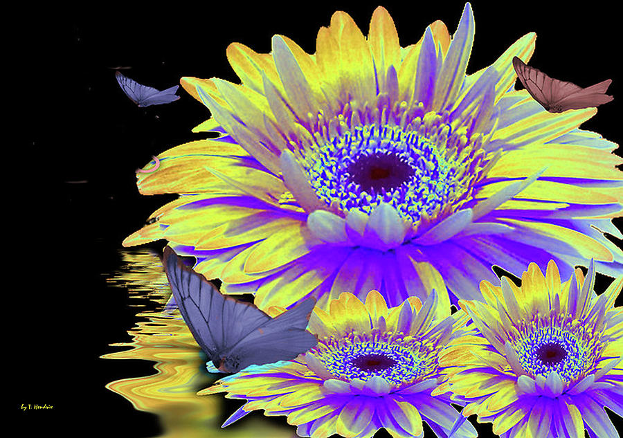 Butterfly Digital Art - SunnyYellow  by Thelma Hendrix