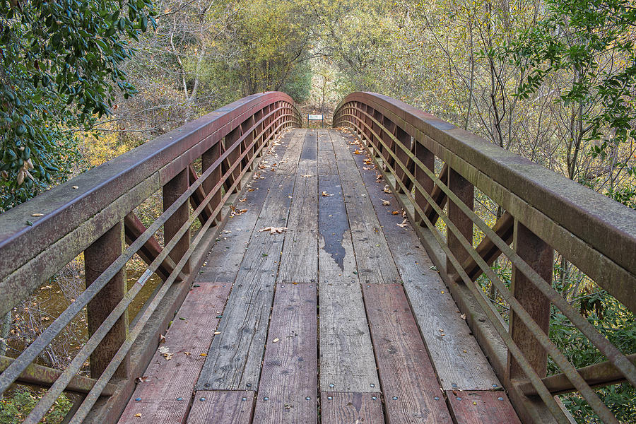 Sunol Bridge in Fall Photograph by Robin Mayoff
