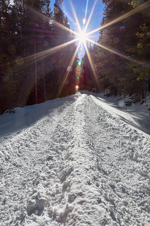 Sunrays and Snow Photograph by James BO Insogna