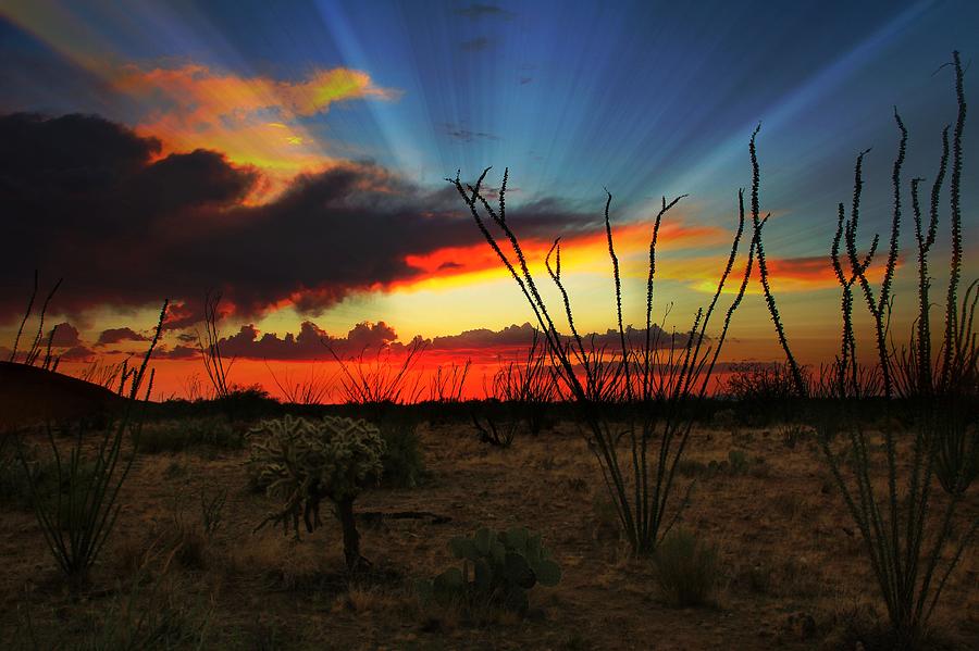 Sunrays in the Sky by Kimmi Craig Sunrays in the Sky by Kimmi Craig
