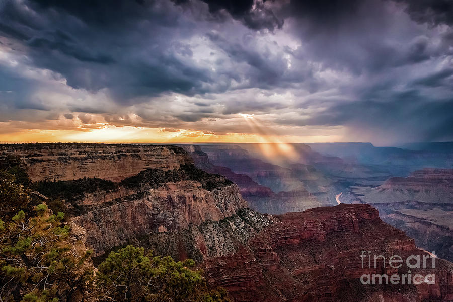 Sunrays over the Grand Canyon Photograph by Alissa Beth Photography