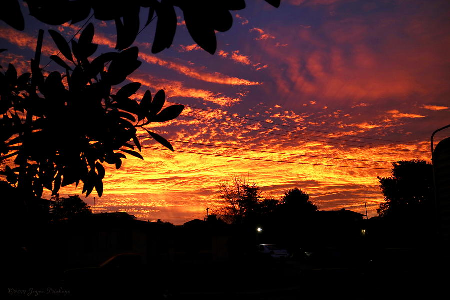Sunrise 02 01 17 Photograph by Joyce Dickens