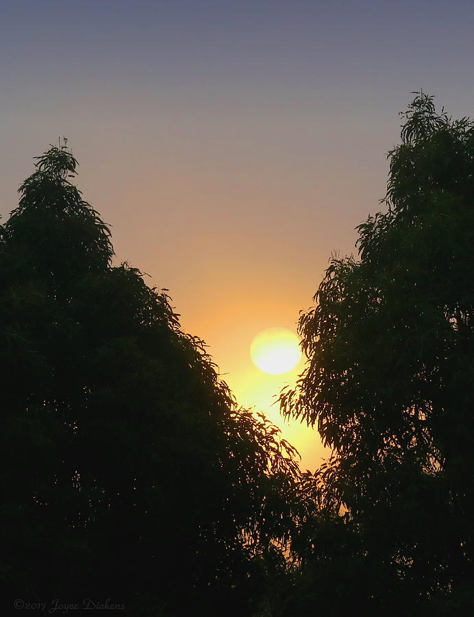 Sunrise 07 27 17 Photograph by Joyce Dickens