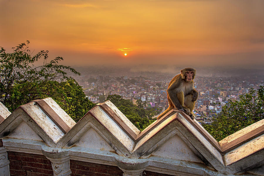 Sunrise above Kathmandu, Nepal, viewed from the Swayambhunath te Photograph by Miroslav Liska Sunrise above Kathmandu, Nepal, viewed from the Swayambhunath te Photograph by Miroslav Liska