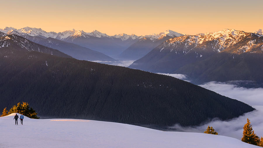 Olympic National Park Photograph - Sunrise Above the Clouds by Dan Mihai