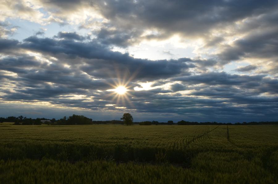 Sunrise After The Storm #1 Photograph By Taylor Munson