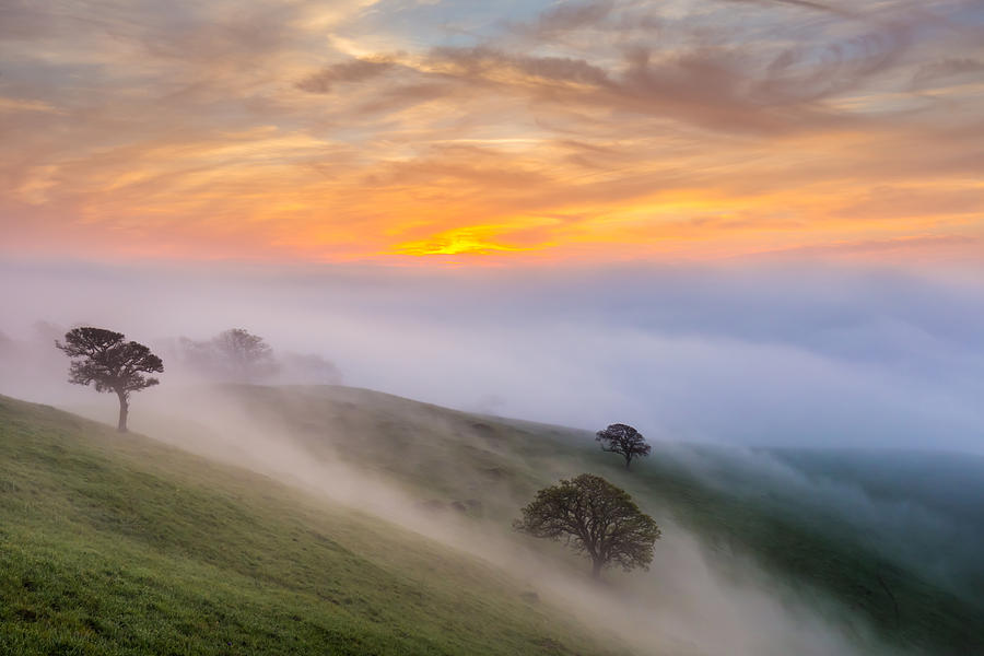 Sunrise and Fog Photograph by Marc Crumpler