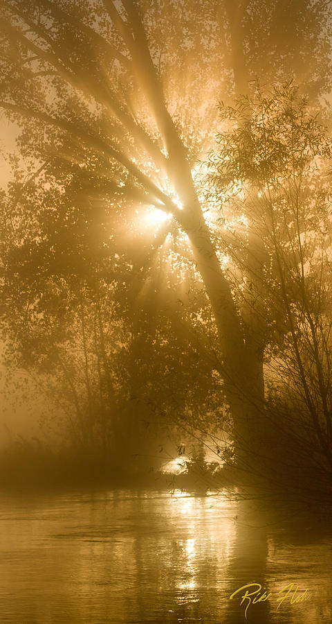 Sunrise and Fog Photograph by Rikk Flohr