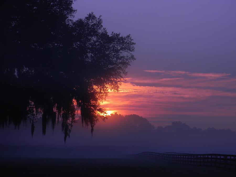 Sunrise and Fog Photograph by Warren Thompson