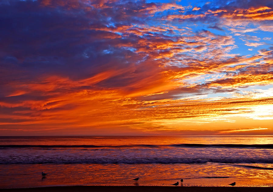 Sunrise and seagulls Photograph by Bill Jonscher