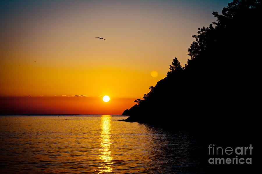 Sunrise and Seascape orange color Photograph by Raimond Klavins