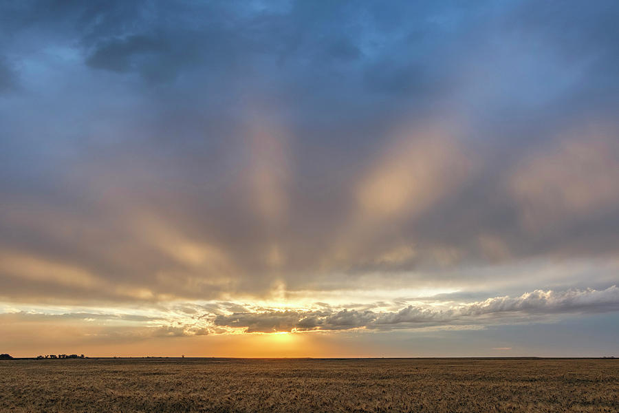 Kansas Photograph - Sunrise and Wheat 03 by Rob Graham