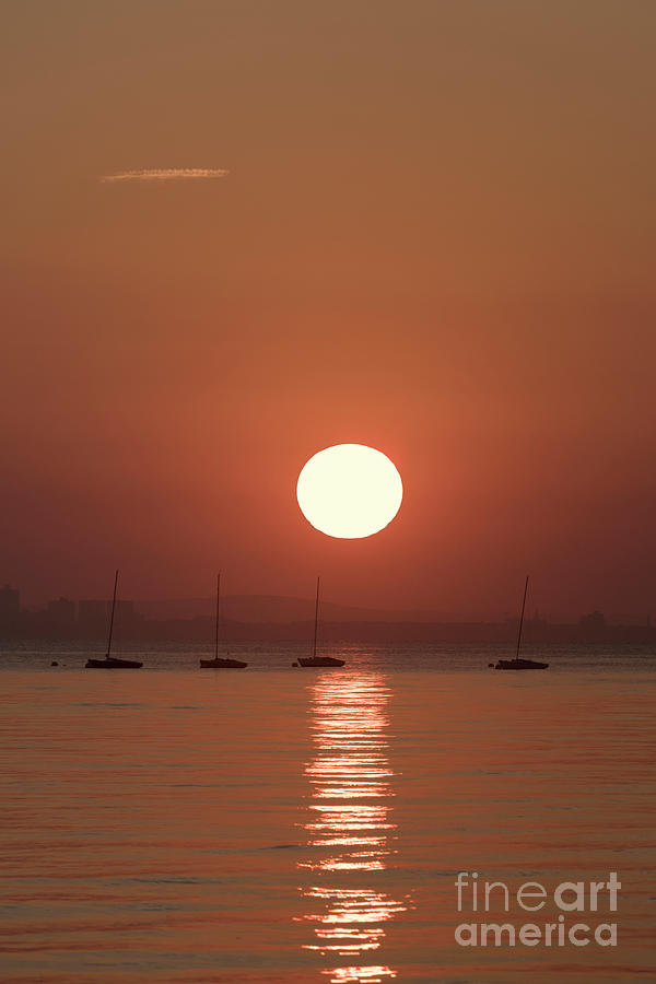 Sunrise and Yachts Photograph by Clayton Bastiani