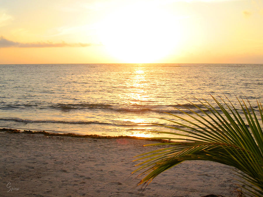 Sunrise at Akumal Sur Beach 1 Photograph by Christopher Spicer