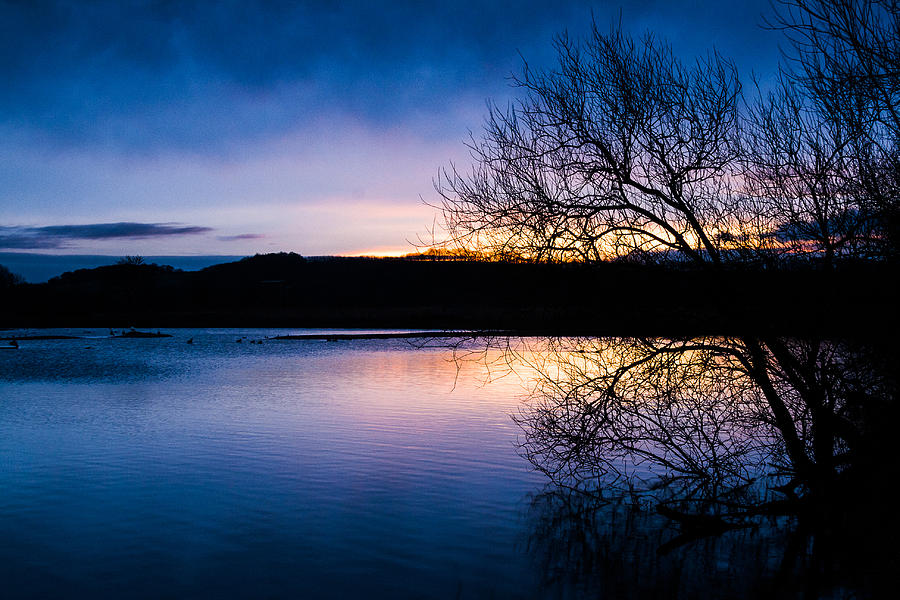 Attenborough Photograph by Chris Dale - Fine Art America