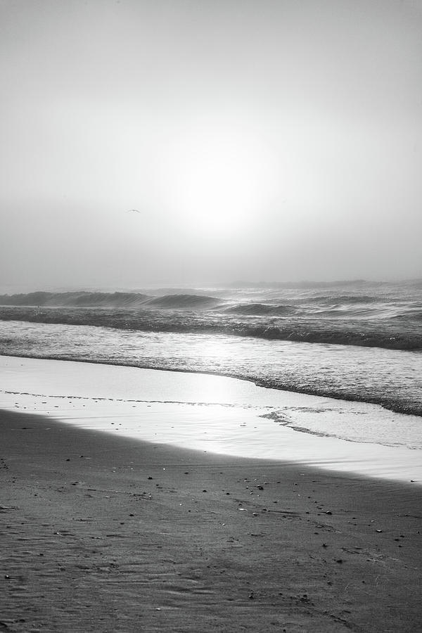 Sunrise at Beach Black and White  Photograph by John McGraw