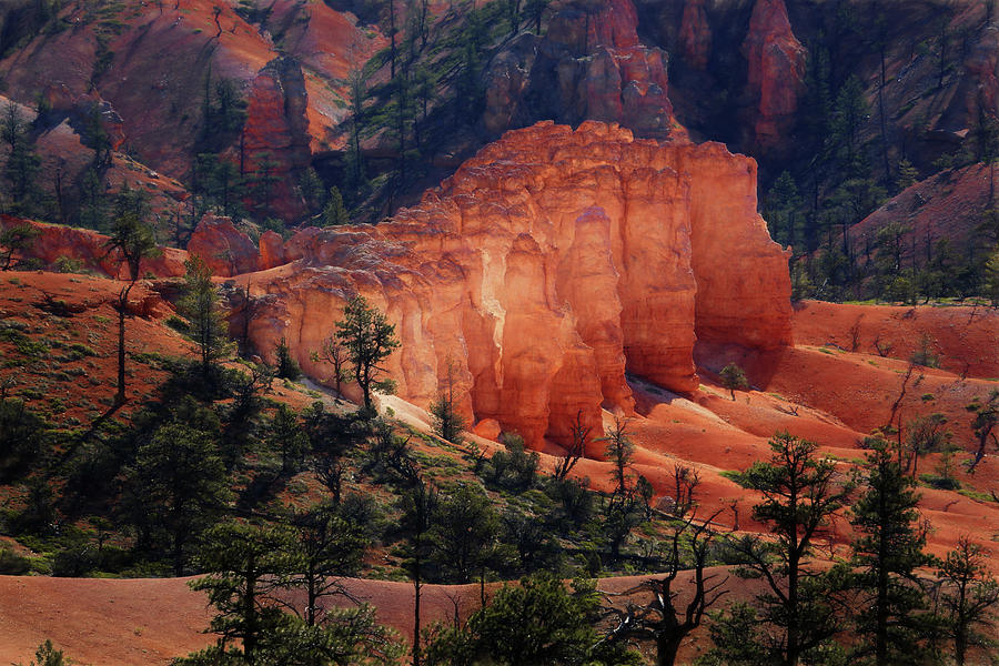 Bryce Canyon National Park Photograph - Sunrise at Bryce Canyon by Donna Kennedy