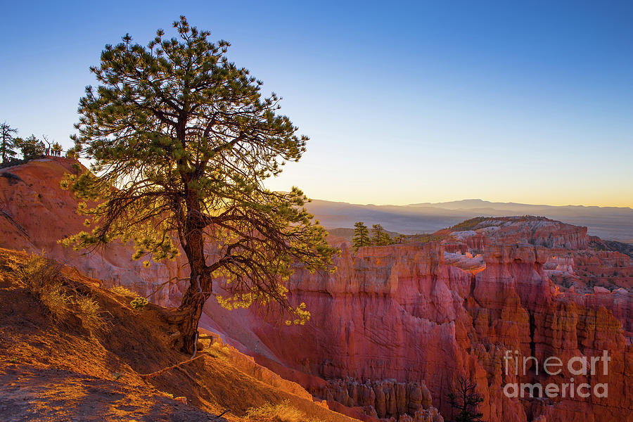 Bryce Canyon National Park Photograph - Sunrise at Bryce Canyon National Park Utah by Edward Fielding