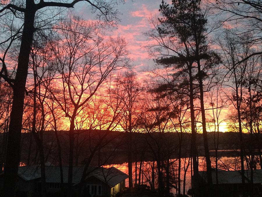 Sunrise at Carolina Trace by Francis Chester Sunrise at Carolina Trace by Francis Chester