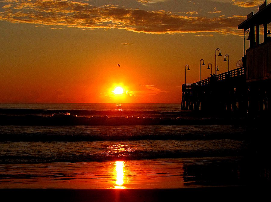 Sunrise at Daytona Beach Pier  002  Photograph by Christopher Mercer