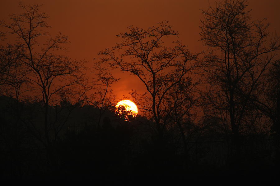 sunrise at DMZ Photograph by Hyuntae Kim