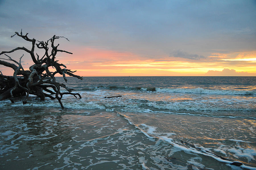 Sunrise at Driftwood Beach 1.3 Photograph by Bruce Gourley