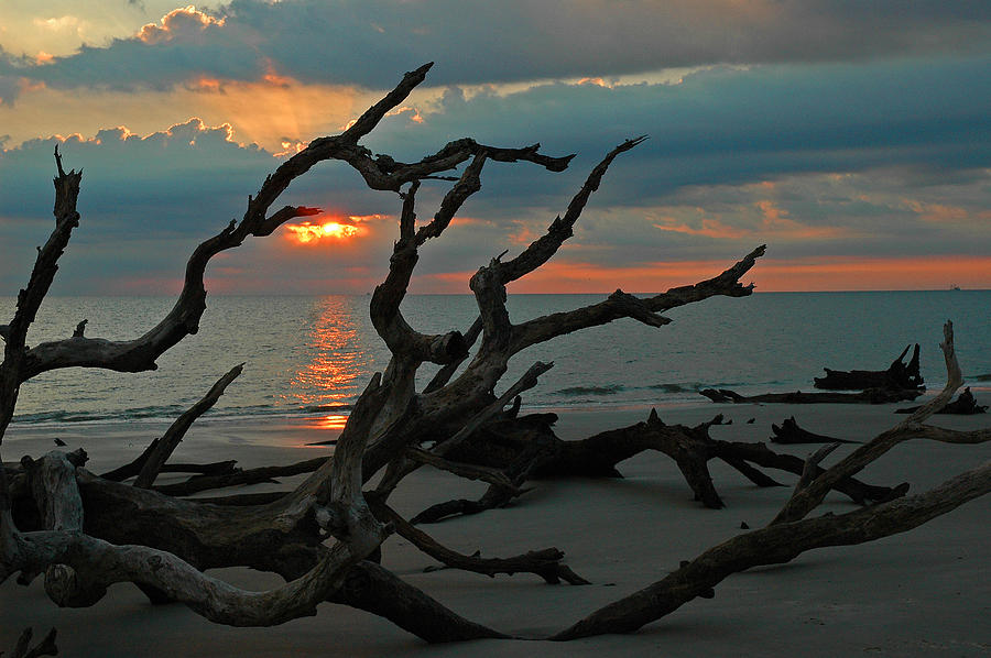 Beach Photograph - Sunrise at Driftwood Beach 2.2 by Bruce Gourley