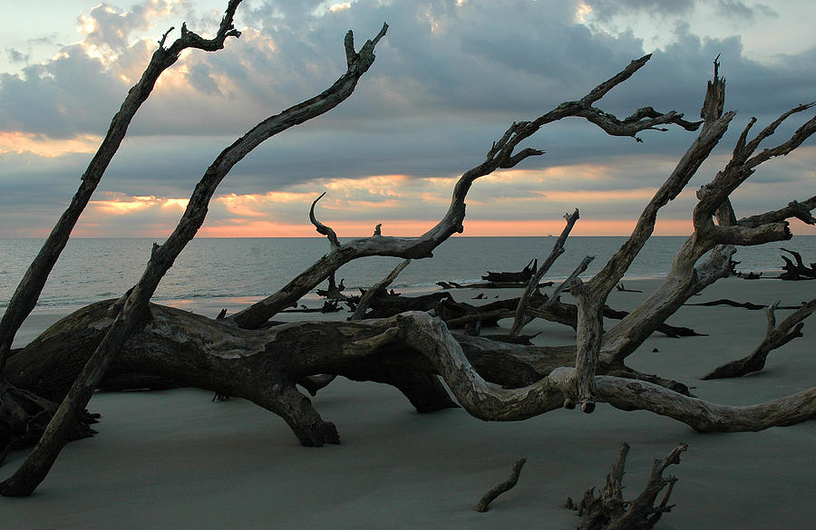 Sunrise at Driftwood Beach 4.1 Photograph by Bruce Gourley