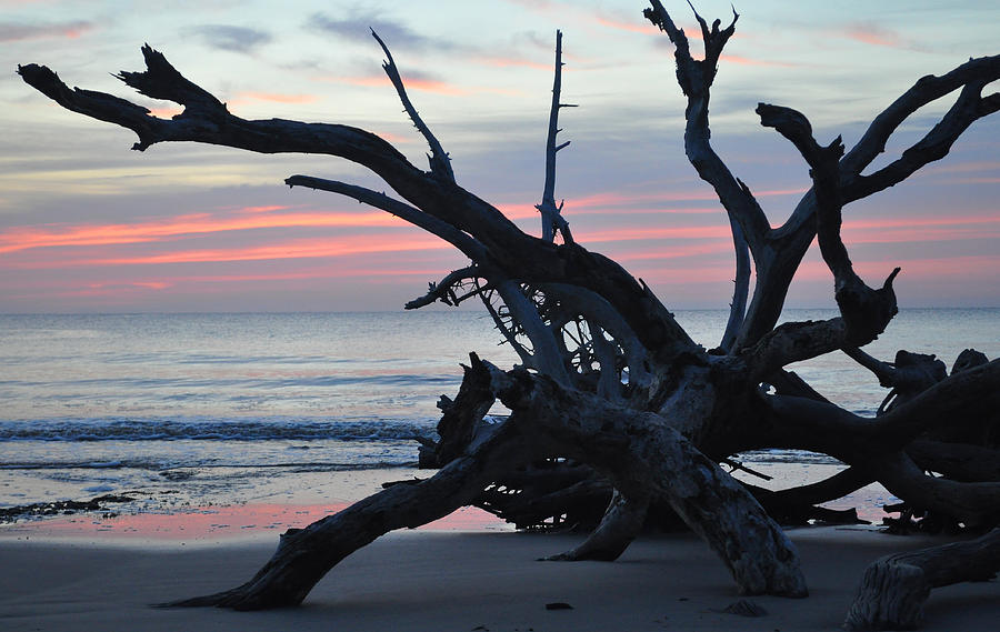 Sunrise at Driftwood Beach 5.1 Photograph by Bruce Gourley