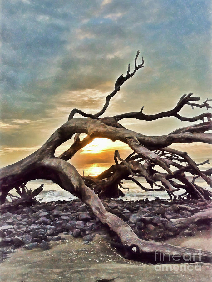 Sunrise at Driftwood Beach - Digital Painting Photograph by Kerri Farley