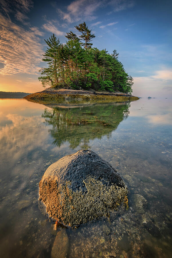Tree Photograph - Sunrise at Googins Island by Rick Berk