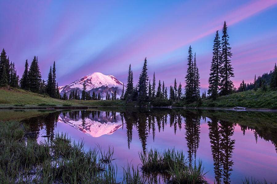 Sunrise at Mount Rainier Photograph by Philip Cho