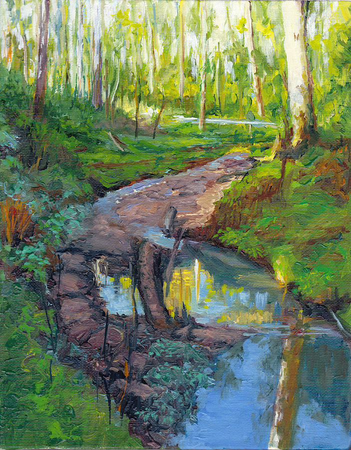 Sunrise at Mullum Mullum Creek  Painting by Dai Wynn